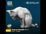 Spalah kit figurine SP21335 Chat Tom 1/35