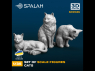 Spalah kit figurine SP21635 Chats 1/35