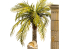 RT-Diorama 35696 Ensemble de palmiers d'Afrique du Nord 1/35