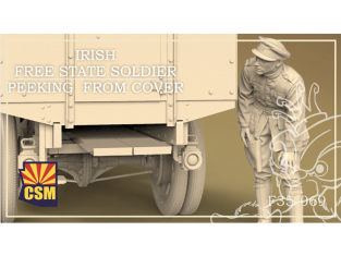 Copper State Models personel F35-069 Soldat de l'État libre d'Irlande Jetant un coup d'œil depuis sa couverture 1/35