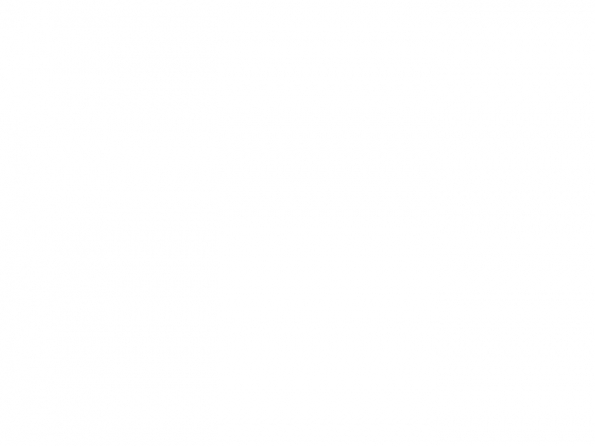 POT ACRYLIQUE TSC201 BLANC SALE de LIFECOLOR Tensocrom