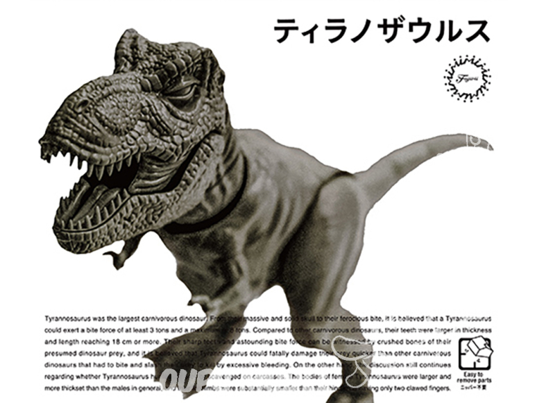 Fujimi maquette dinosaure 171128 Tyrannosaurus