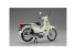 Fujimi maquette moto 142005 Honda Super Cub 110 (Classical White) 1/12