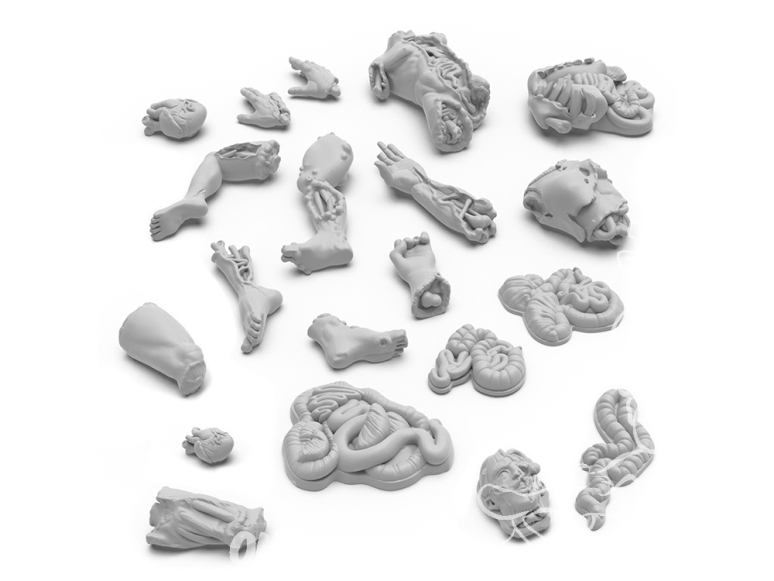 Green Stuff 12735 Membres sectionnés 1:48