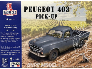 Hachecka Prints maquette voiture Peugeot 403 1/48