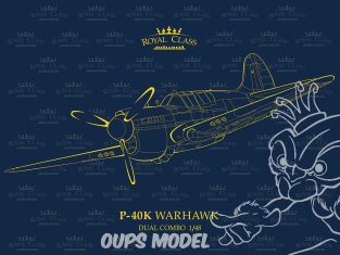 EDUARD maquette avion R0024 P-40K Dual combo Royal Class 1/48