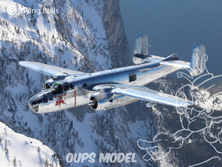 Revell maquette avion 05643 Coffret cadeau Flying B-25J Mitchell avec peinture et accessoires de base 1/48