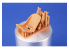 Special Hobby 3D Print militaire P32006 Protection dorsale et latérale avec siège Fw190A sans harnais pour kit Revell 1/32