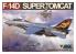 AMK maquette avion 88011 F-14D Super Tomcat 1/48