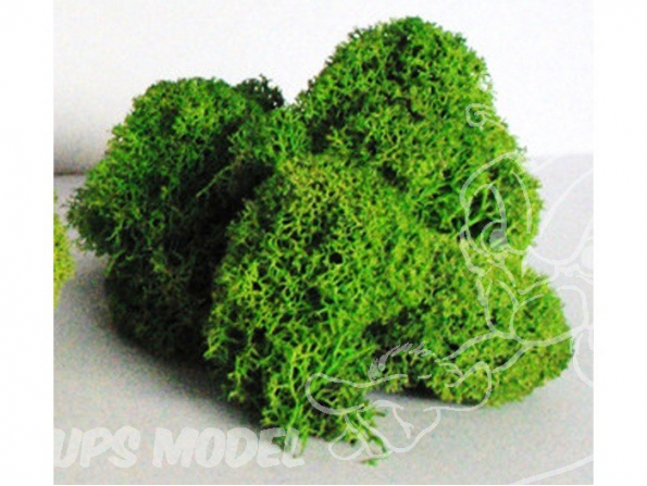 Fr Décor 123 Lichens Vert moyen
