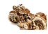 Revell 00614 Kit Bois Tiny Adventures - Moto Cruiser V-Twin Modèles fonctionnels