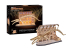 Revell 00620 Kit Bois Tiny Adventures - Musée Naturel Blue Whale: Le géant des mers brille