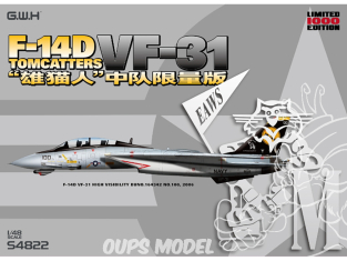 Great Wall Hobby maquette avion S4822 F-14D VF-31 Tomcatters Edition Limitée 1/48