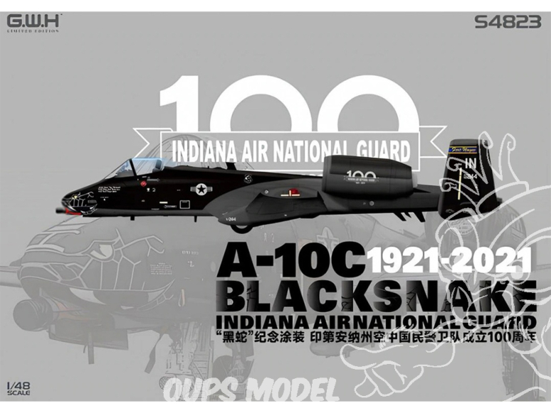 Great Wall Hobby maquette avion S4823 A-10C BLACKSNAKE 1921 - 2021 Indiana Air National Guard Edition Limitée 1/48