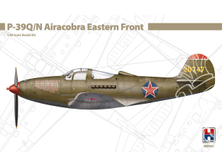 Hobby 2000 maquette avion 48046 P-39Q Airacobra Front de l'Est 1/48