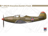 Hobby 2000 maquette avion 48046 P-39Q Airacobra Front de l'Est 1/48