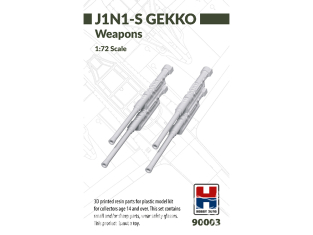 Hobby 2000 maquette accessoire avion 90003 Armement J1N1-S GEKKO 1/72