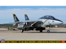 Hasegawa maquette 52473 F-14B Tomcat VF-103 Jolly Rogers avec pièces de buse à haut niveau de détail 1/72