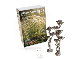 RT-Diorama 35448 Achillée millefeuille européenne serie SWIT Vegetation 1/35