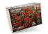 RT-Diorama 35482 Coquelicots luxuriants serie SWIT Vegetation 1/35