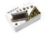 RT-Diorama 35483 Tulipes en fleurs serie SWIT Vegetation 1/35