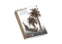 RT-Diorama 35476 Palmiers d'Afrique du Nord serie SWIT Vegetation 1/35