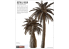 RT-Diorama 35476 Palmiers d'Afrique du Nord serie SWIT Vegetation 1/35