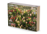 RT-Diorama 16216 Tulipes en fleurs 1/16