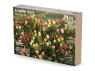 RT-Diorama 16216 Tulipes en fleurs 1/16