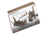 RT-Diorama 16214 Marguerites rampantes 1/16