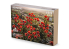 RT-Diorama 16215 Coquelicots luxuriants 1/16