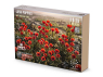 RT-Diorama 16215 Coquelicots luxuriants 1/16