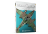 MIG Librairie 6324 The Weathering Aircraft Essentiels en Espagnol