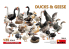 Mini Art maquette militaire 38114 Canards et oies 1/35