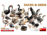 Mini Art maquette militaire 38114 Canards et oies 1/35