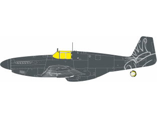 Eduard Express Mask JX351 P-51B Verrière Birdcage TFace Eduard 1/32