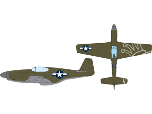 Eduard Express Mask JX353 P-51B Insigne national Eduard 1/32