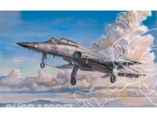 AFV maquette avion ar48106 NORTHROP F-5F TIGER II 1.48
