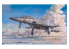 AFV maquette avion ar48106 NORTHROP F-5F TIGER II 1.48