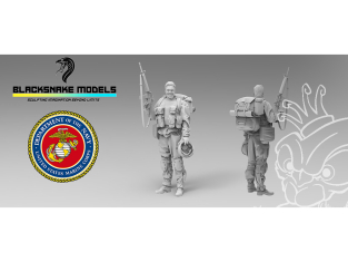 Blacksnake Model figurine USMC-08-16 US Marines Operation Iraqi Freedom Figurine 8 1/16