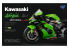 MENG MT-007T Kit Kawasaki Ninja ZX-10R KRT Edition pièces pré-peintes 1/9