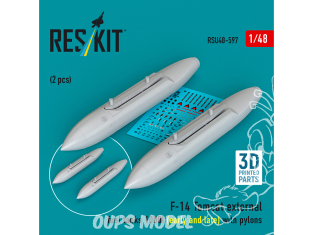 ResKit RSU48-0597 Réservoirs de carburant externes F-14 Tomcat 1000l early et late avec pylônes 2p imprimée en 3D 1/48
