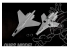 Trumpeter maquette avion 01662 CHASSEUR J-11B ARMEE DE L AIR POPULAIRE CHINOISE 1/72