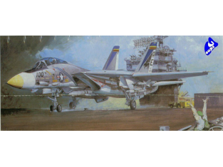 Academy maquettes avion 1659 Grumman F-14A tomcat 1/48