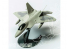 Airfix maquette avion j6005 Lockheed Martin F-22 Raptor Quick Build en briquettes