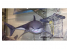 pegasus maquette 9501 Great White Shark 1/18 de PEGASUS