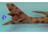 Trumpeter maquette avion 01612 TU-16K-26 &quot;BADGER&quot; G 1/72