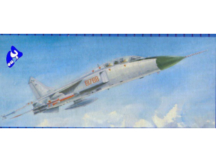 Trumpeter maquette avion 01608 XIAN FLYING LEOPARD 1/72