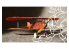 RODEN maquettes avion 024 Albatros D.III 1/72