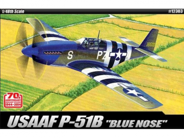 Academy maquettes avion 12303 USAAF P-51B 70ème Anniversaire 1/48